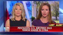 Pentagon: US airstrike kills terror leader in Syria