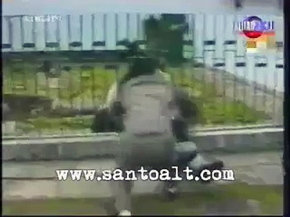 panda attacks, animal vs human