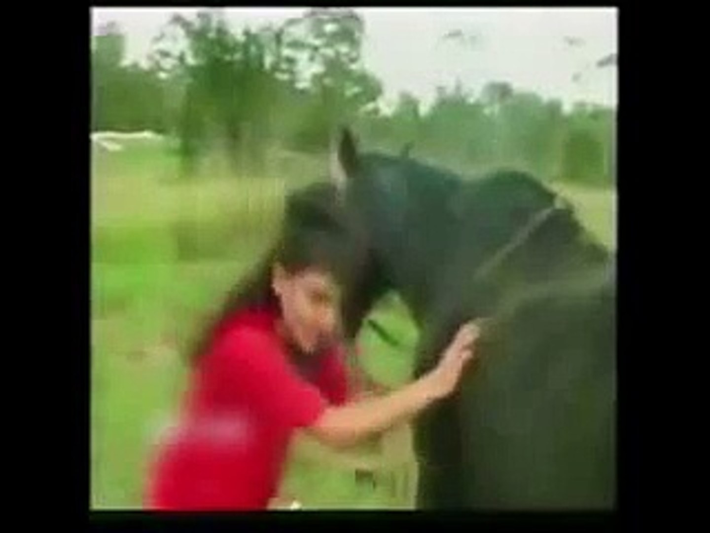 Girl Cross Under Horse Leg Its Hilarious