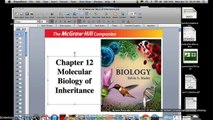 Molecular Biology of Inheritance Lecture 1