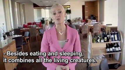 Finnish dark comedy - The shameless poop documentary