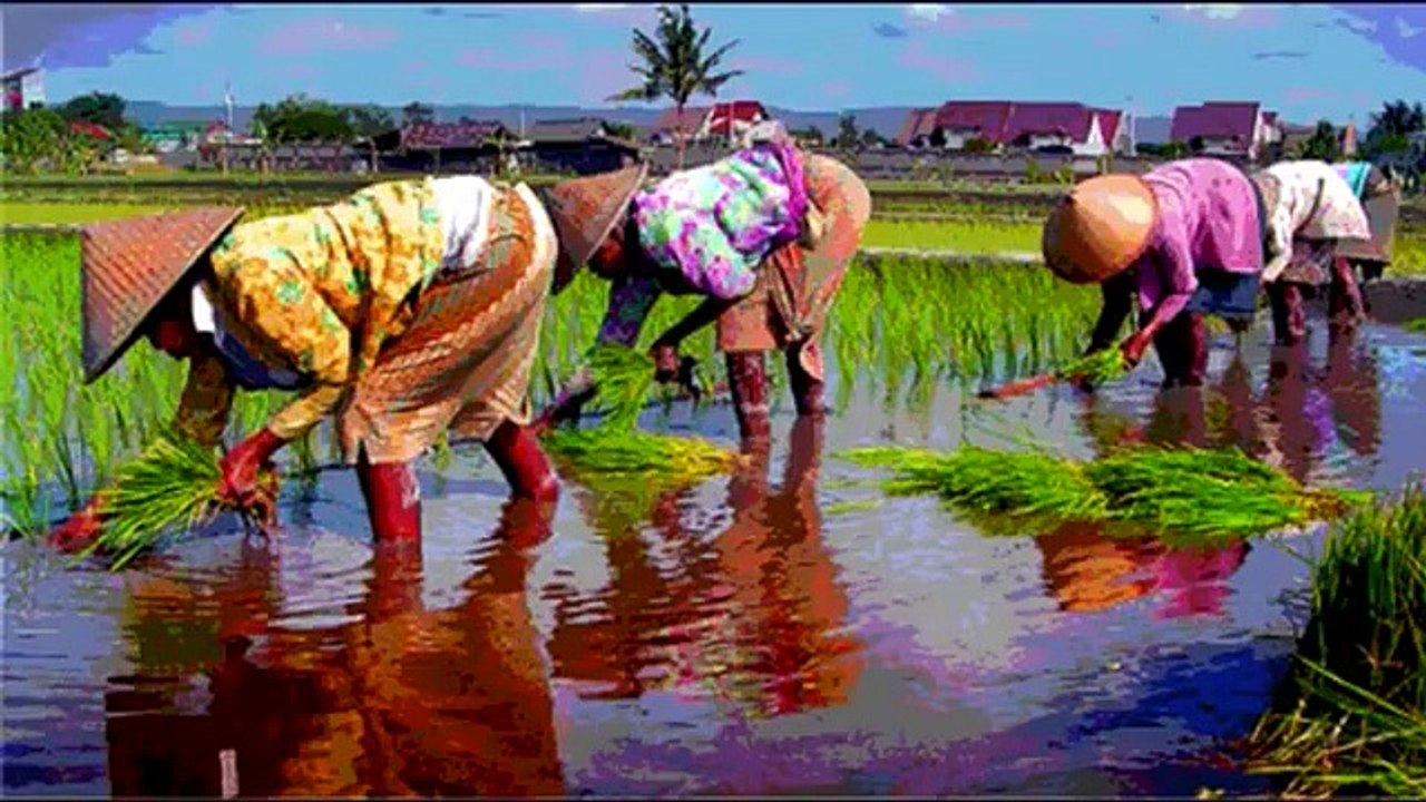 Study Music Alpha Waves Relaxing Studying Music July 2015 Brain Power, Focus Concentration Music