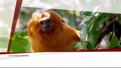 Island idyll of Jersey | Euromaxx