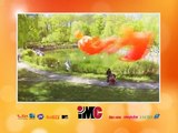Nghệ Sĩ Việt Nam Chúc Mừng Sinh Nhật 7 Năm IMC