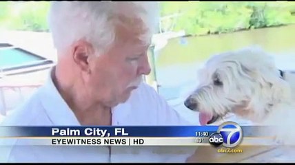 Man Rescues Dog From Gator