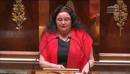 Loi sur le Droit des étrangers-Discussion générale