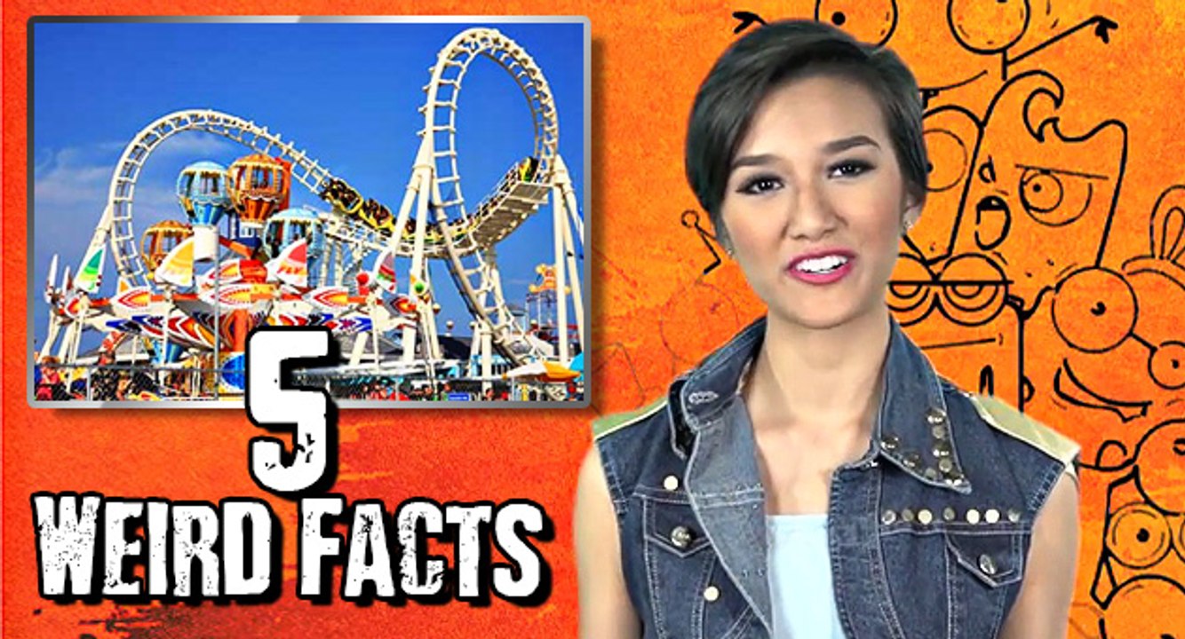 5 Weird Facts On Theme Amusement Parks