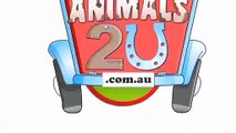 Animals 2 U Mobile Animals Farm Melbourne - Bendigo 0405 002 377
