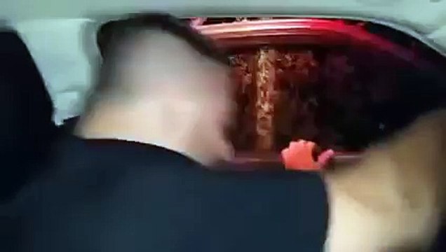 Invasion de mouches éphémères aux USA causent des accidents de voiture : impressionnant