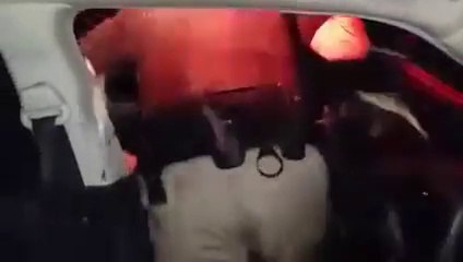 Car crash caused by Shadflies invasion on Sabula Savanna Bridge