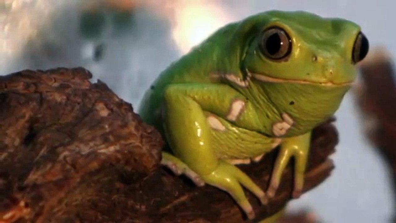 Un día en el Zoo de Madrid