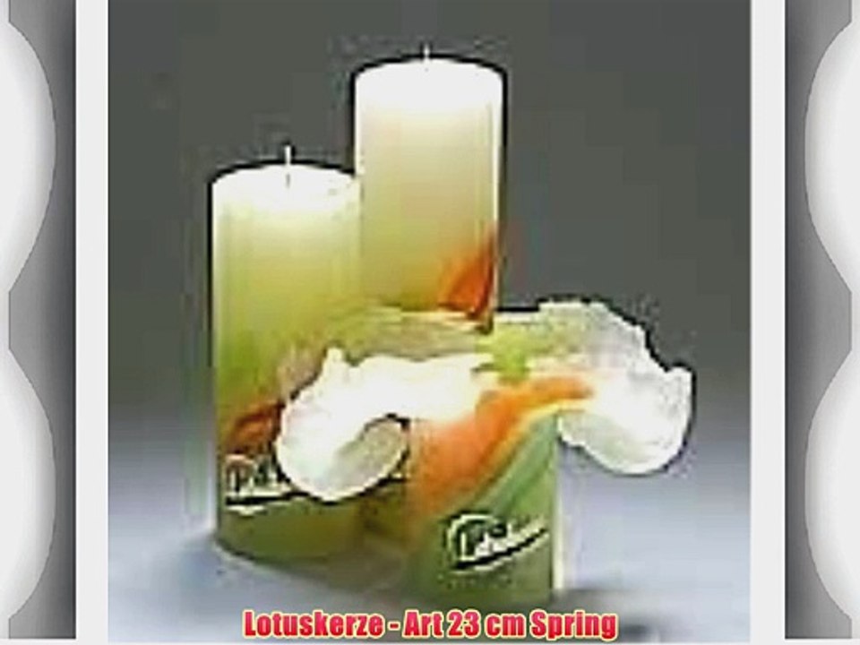 Lotuskerze - Art 23 cm Spring