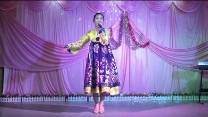 Cinq groupes et chanteuses au service du régime nord coréen