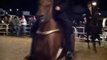 Speed Racking Horse Class at Chuckey, TN