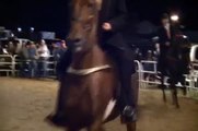 Speed Racking Horse Class at Chuckey, TN