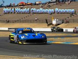 Jason Hart : 2014 Sonoma Sears Point Pirelli World Challenge Practice 1