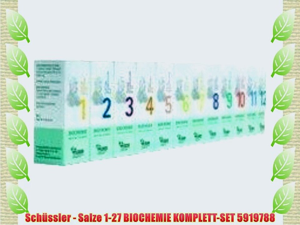 Sch?ssler - Salze 1-27 BIOCHEMIE KOMPLETT-SET 5919788