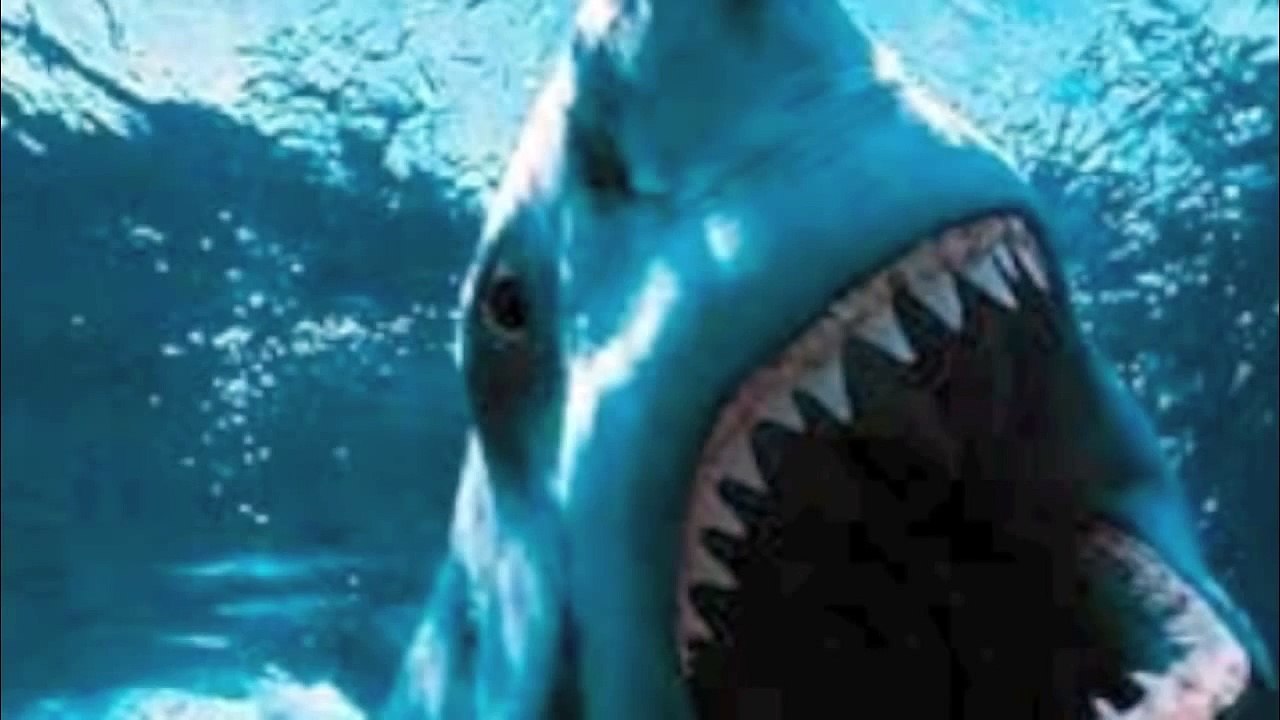 Carcharocles Megalodon vs. Livyatan melvillei(Remake)