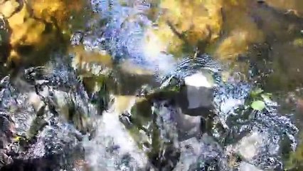 Stop Nestle Waters' Permit to Take Water