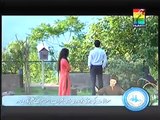 Yahan Pyar Nahi Hai Episode 13 Full Drama on Hum T.V