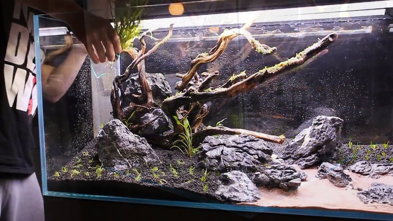 ADA 90p "Rocky shore" Aquascape