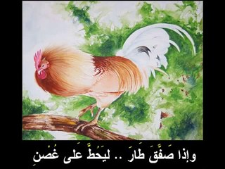 أناشيد عربية للأطفال1 Arabic songs for Kids1