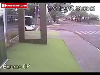 Whatever Grows On The Bus Boy