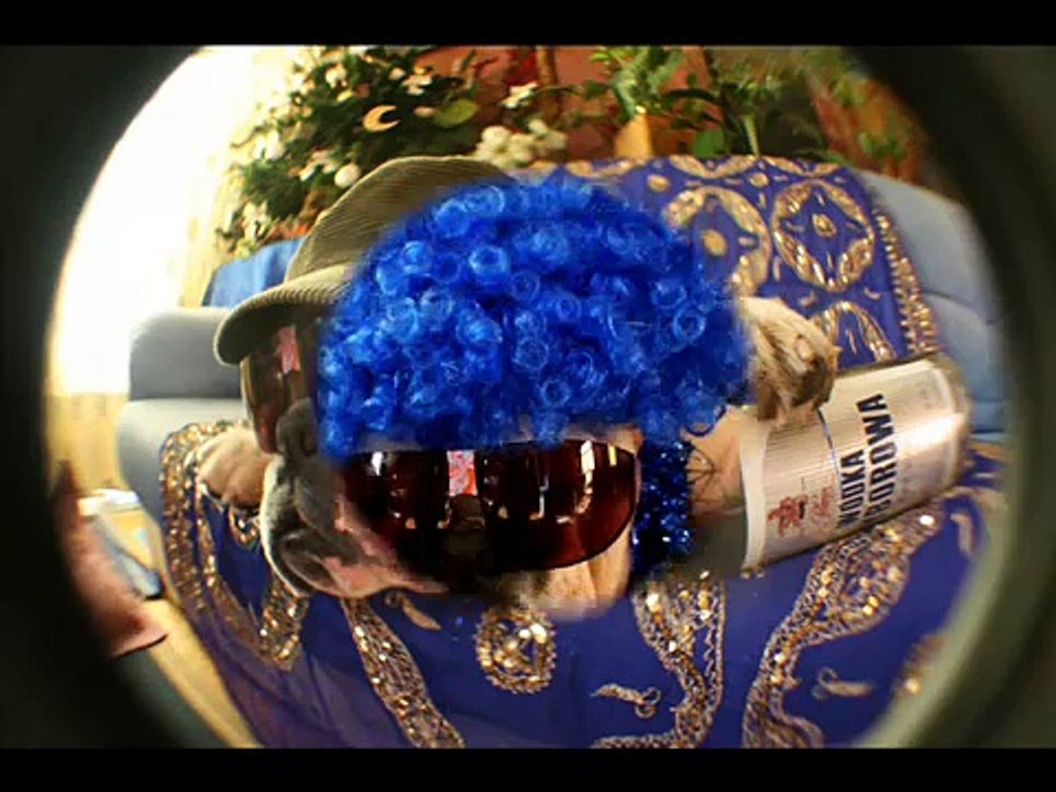 bulldog ingles