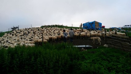 Yaylalar yaylalar 20150723