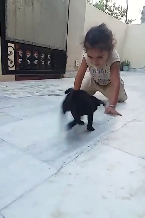 baby funny vidio sws