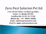 Zero Pest Solution Pvt ltd