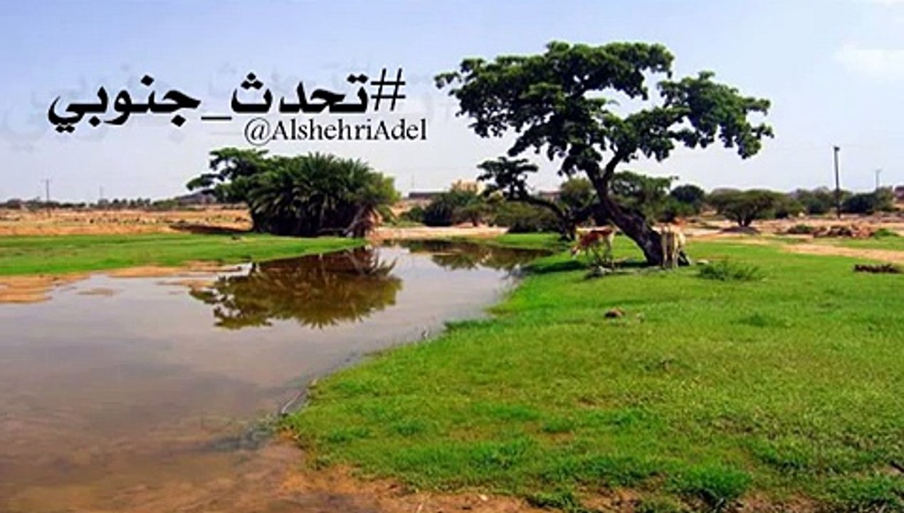 كلام جنوبي ( لهجة أهل الجنوب) اللهجه الجنوبيه
