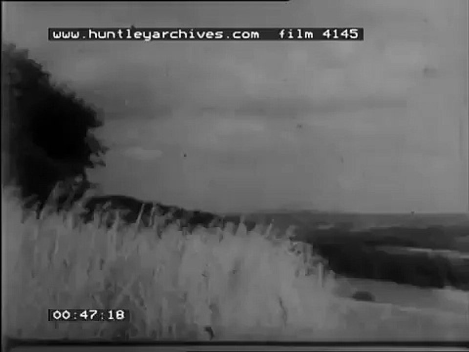 London transport country buses, 1950's.  Archive film 4145