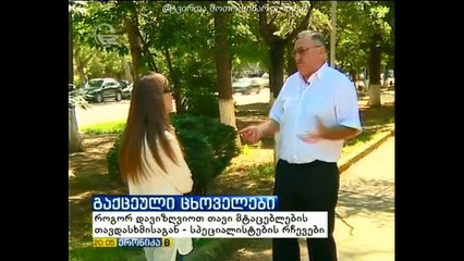 სასწრაფოდ აშმალახა ვეფხვო!!!   ეს ყველამ უყუროს და გააკეთოს მტაცებლებისგან თავის დასაცავად!!!