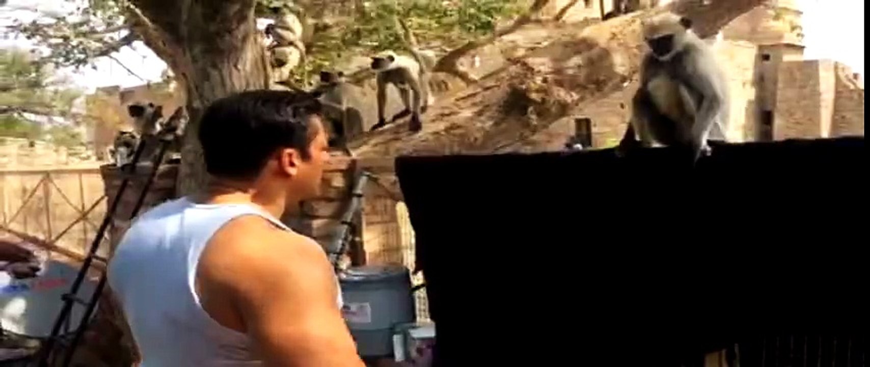 Salman Khan Playing With Adorable Monkey