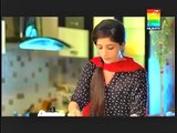 Yahan Pyar Nahi Hai Episode 15 Full Drama on Hum T.V
