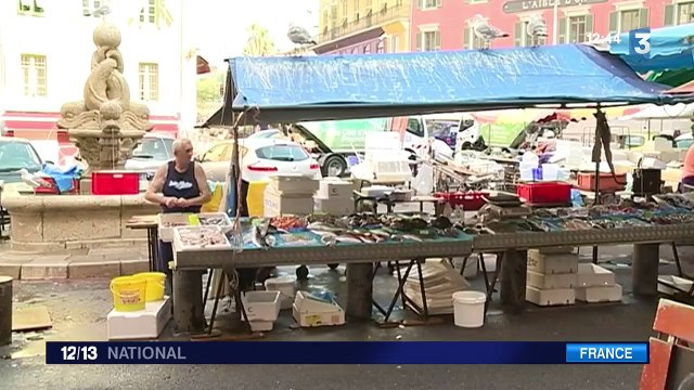 Le centre-ville de Nice envahi par des goélands agressifs