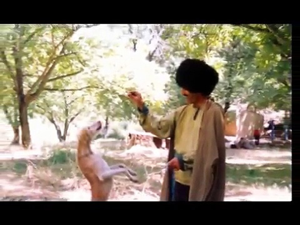 Turkmen Iti