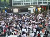 Shibuya Crossing Crowds From Above