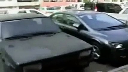 Un chat qui voit son ami partir