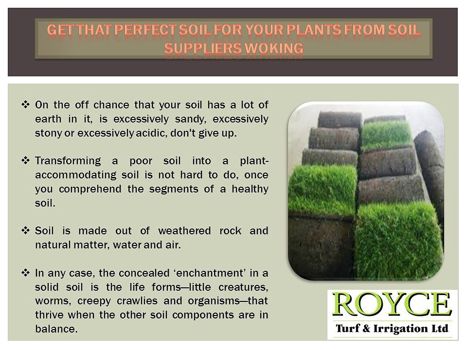 Get That Perfect Soil for Your Plants from Soil Suppliers Woking