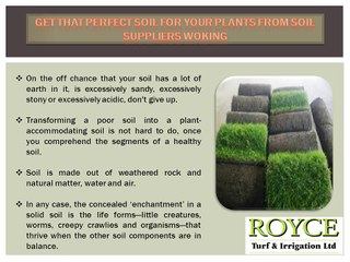Get That Perfect Soil for Your Plants from Soil Suppliers Woking