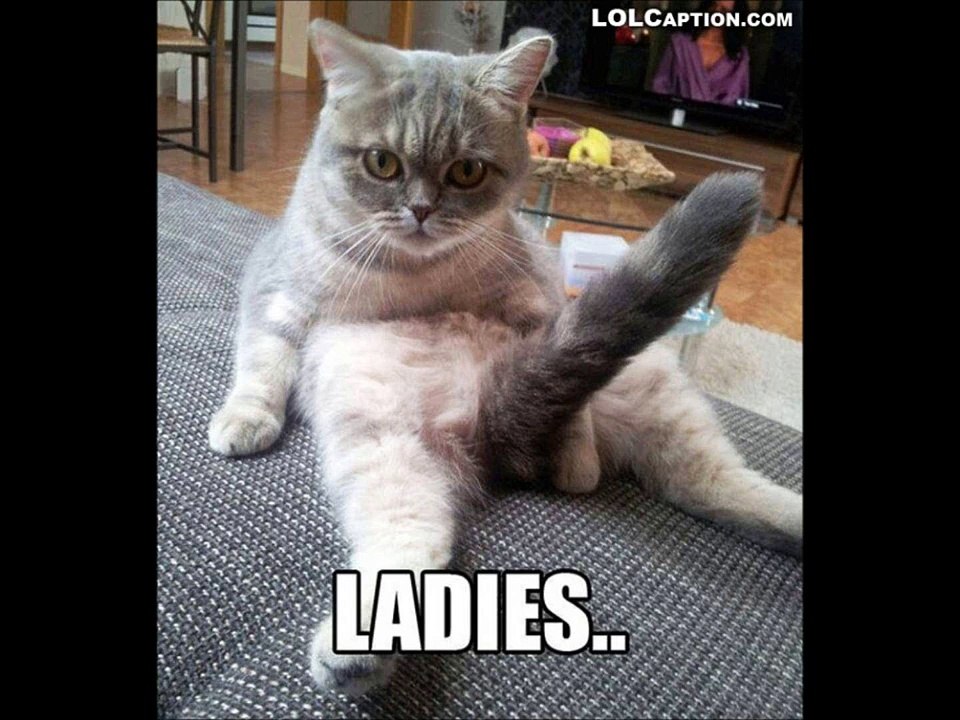 Ladies funny pic