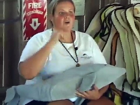 Swimming with Dolphins at Dolphins Plus in Key Largo Florida