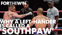 Why is a lefty called a 'southpaw?'