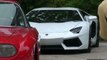 7x Lamborghini Aventador LP700-4 in Action - Starts, Loud Revving, Sound on the Road!!