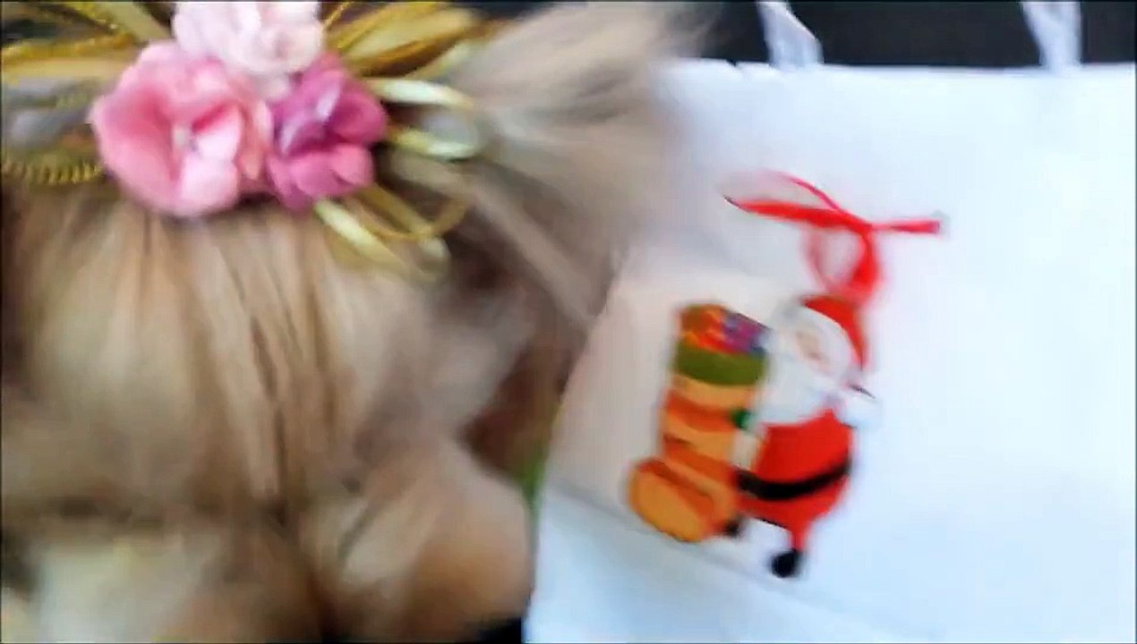 curiosidade canina com Vicky Nina e Darah Duni