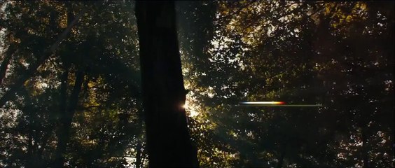 Голодные игры_ Сойка-пересмешница. Часть II _ Русский Трейлер #2 (2015)