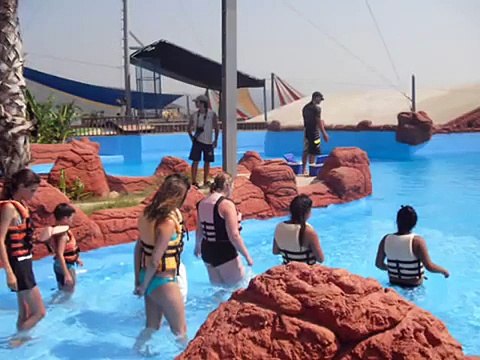 zwemmen met dolfijnen een droom die uit kwam