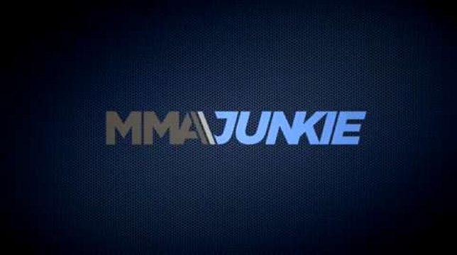 What did UFC fighters make of Conor McGregor's performance at UFC 189?